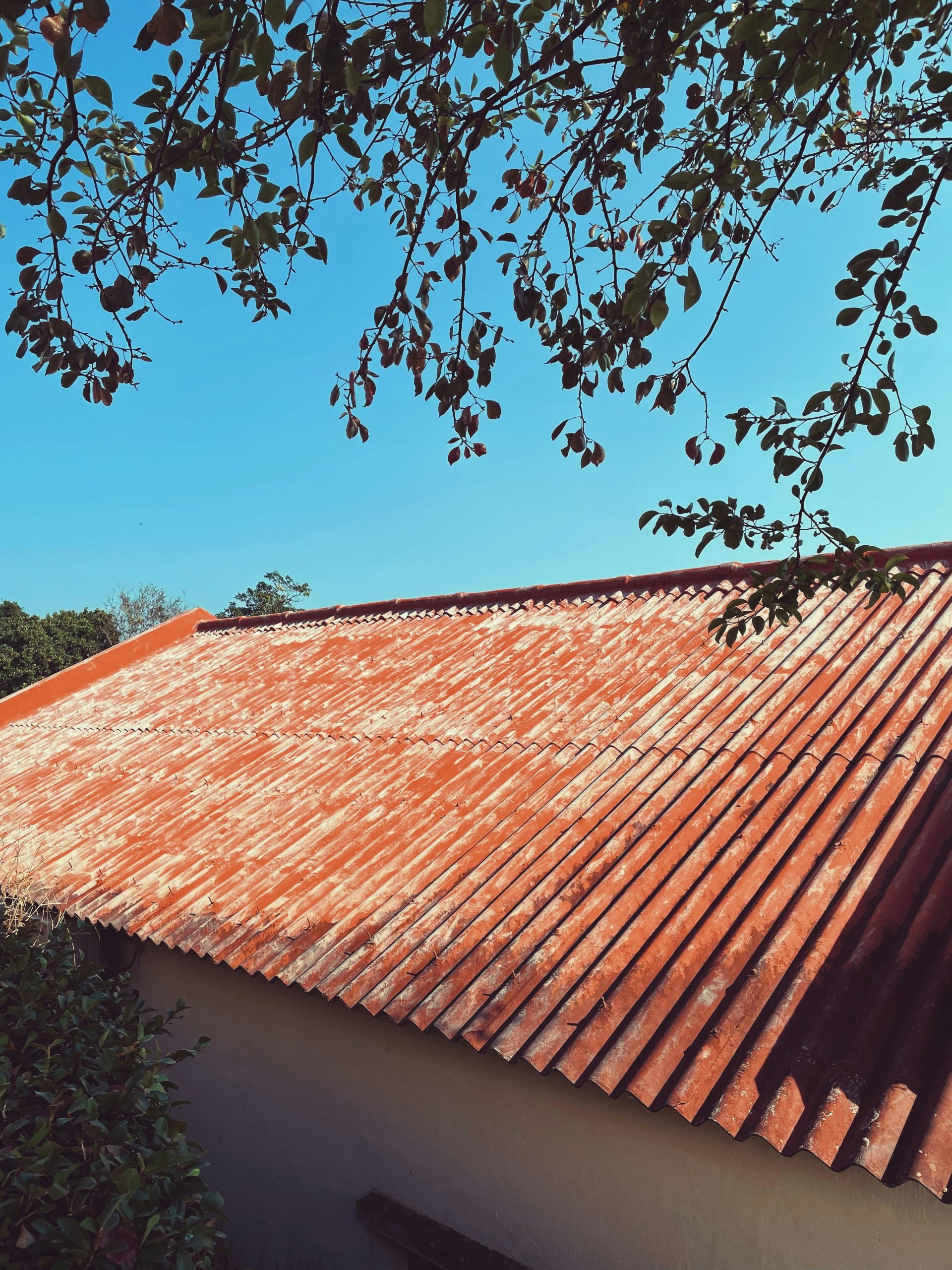 a building with a red roof and a tree in front of it